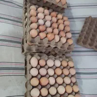 معجون بمب انرژی|خوردنی و آشامیدنی|خاش, |دیوار