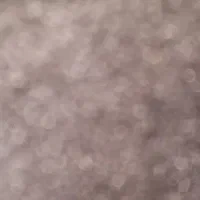 باسلام کیف مدارک به نام سمیه مختاری