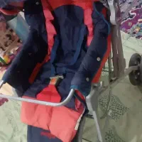 کالسکه کریر رورویک