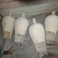 کوزه برای طوطی سانان