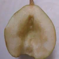 گلابی