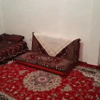 یک جفت پشتی