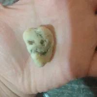 دو سنگ زیبا و طرح دار طبیعی