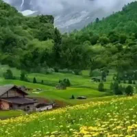 تور و سفر و دورهمی