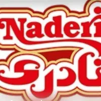 جذب نیروی فروشنده (ویزیتور) در شرکت بزرگ نادری