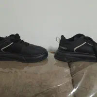 کفش|کیف، کفش، کمربند|شیراز, پودنک|دیوار