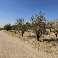 زمین ویلا مسکونی مجموعه قصر سبز صدرا|فروش زمین و ملک کلنگی|شیراز, باغشهر قصر سبز|دیوار