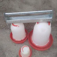 قفس پرنده|لوازم جانبی حیوانات|ساوه, |دیوار