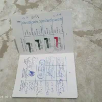 گربه خانگی نر خوشگل|گربه|تهران, دردشت|دیوار