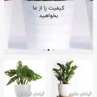 بزار توی ترب بیشتر بفروش،طراحی وبسایت، فروش انلاین|خدمات رایانه‌ای و موبایل|تهران, تهرانپارس غربی|دیوار