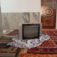 تلویزیون