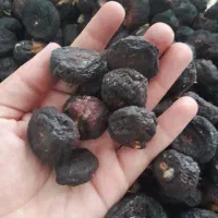 انجیر خشک نرم کیلو ۲۸۰