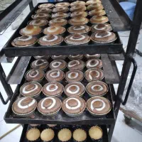 استادکار شیرینی پزی