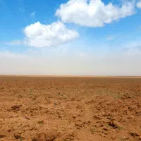 ۲ هکتار معادل ۲۰/۰۰۰ متر مربع زمین کشاورزی|فروش دفتر صنعتی، کشاورزی، تجاری|کرج, محمود آباد|دیوار