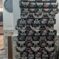 ۱۷ دونه پشتی زرک دار در حد نو