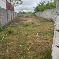 250مترزمین مسکونی