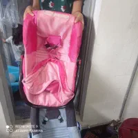 کریر ننی روروئک