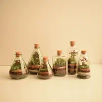 گل تراریوم‌ عمده و تک