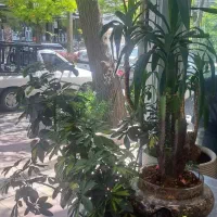 رهن-و-اجاره-50-متر-در-2-طبقه-بر-8