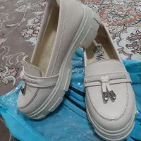 کفش  زنانه|کیف، کفش، کمربند|پاکدشت, پاکدشت (مامازند)|دیوار