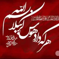 کربلاهوایی قطاری هتل حسینیه ولادت امیرالمومنین (ع)