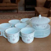 ظروف پذیرایی