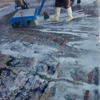 قالیشویی مبلشویی بهترین قالی شویی در غرب شمال غرب