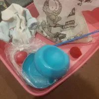 ظروف گربه با لوازم