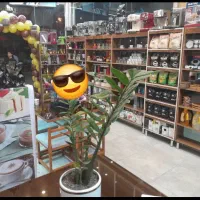 ویترین مغازه