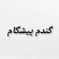 گندم پیشگام ابی