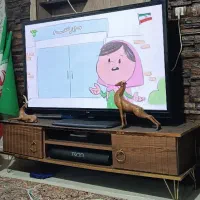 زیر تلویزیون ام دی اف شرکتی