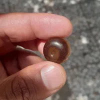 مهره جزع سه رنگ