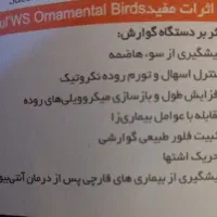 مکمل بیوپول|لوازم جانبی حیوانات|مسجد سلیمان, |دیوار