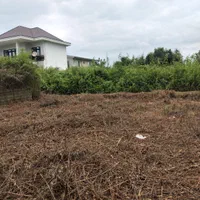 علفتراشی سمپاشی باغچه و نگهداری ویلاها