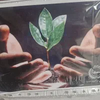 نیازمند پرستار و روانشناس در کلینیک سوء مصرف مواد