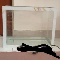 اکواریوم