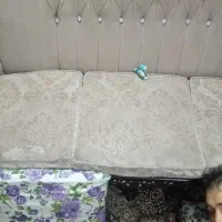 باید درست کنی برای خونه باغ خوبه یک میلیون