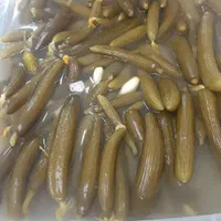 سبزی خردکنی ریحون|خوردنی و آشامیدنی|قدس, شهرقدس|دیوار