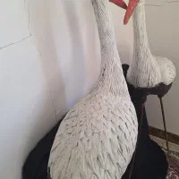 مجسمه جنس فایبرگلاس|مجسمه، تندیس، ماکت|شیراز, شهرک گلستان شمالی|دیوار