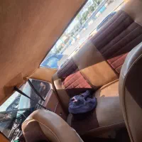 شورلت نوا|خودرو کلاسیک|اهواز, زیتون کارگری|دیوار