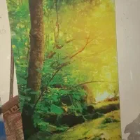 رادیاتور شوفاژ شیشه ای آرمین در حد نو|آبگرمکن، پکیج، شوفاژ|نسیم‌شهر, |دیوار