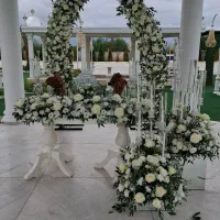 گلفروشی آنلاین|گل و گیاه طبیعی|رشت, پستک|دیوار