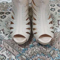 کفش|کیف، کفش، کمربند|پائین جام, |دیوار