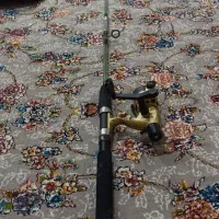 لنسر ماهی گیری