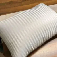 باشت میکرو فایبر