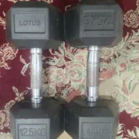 جفت دمبل 12.5 کیلویی