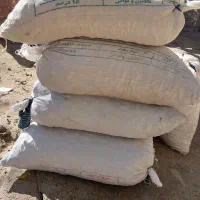 بلوط خوب تازه|لوازم جانبی حیوانات|بازفت, |دیوار