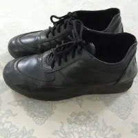 کفش طبی|کیف، کفش، کمربند|نیشابور, مدرس|دیوار