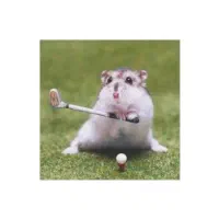 فروش همستر خانگی ماده