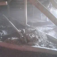 بسنم کفتر کود د سبز سوله شیروانی